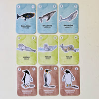 Cartas Antártida al rescate