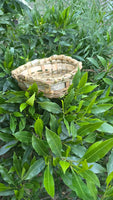 Cesta circular