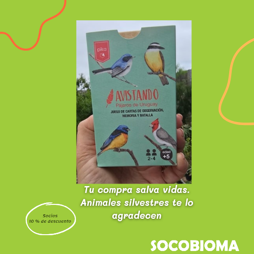 Cartas avistando pájaros de Uruguay