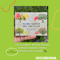 Cartas flora nativa de Uruguay