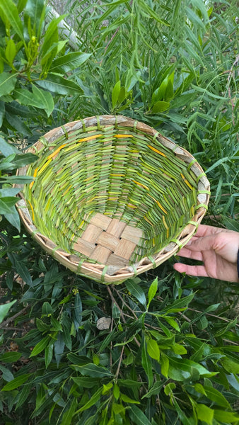 Cesta o porta maceta acampanado