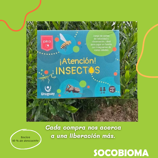 Cartas ¡Atención! Insectos