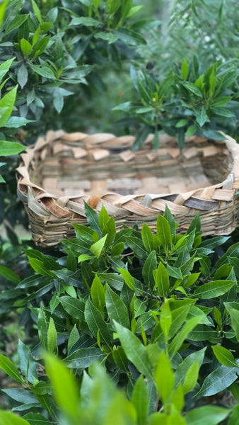 Cesta rectangular