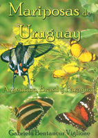 Mariposas De Uruguay, Argentina, Brasil Y Paraguay