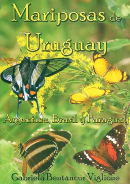 Mariposas De Uruguay, Argentina, Brasil Y Paraguay