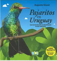 Pajaritos en Uruguay - Augusto Giussi