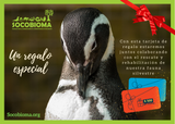 SOCOBIOMA Gift Card