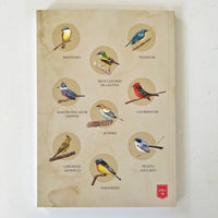 Cuaderno Pika pájaros de Uruguay