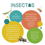 Cartas ¡Atención! Insectos